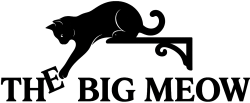 logo (no background)