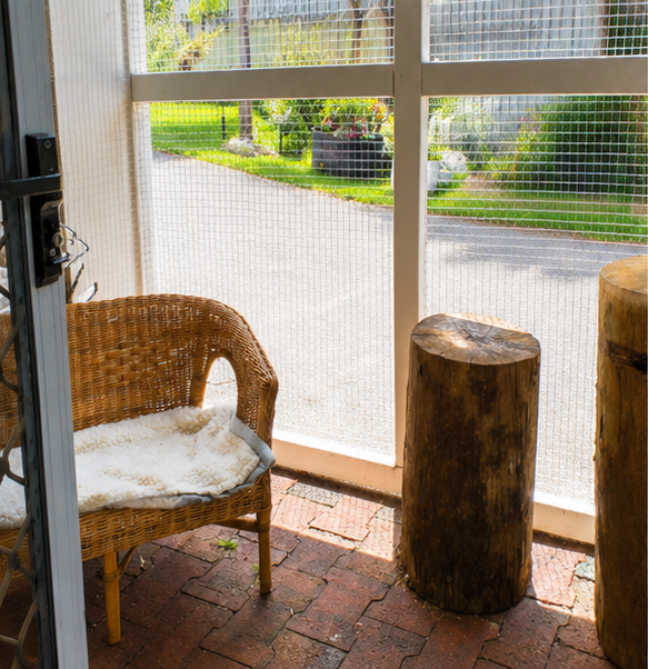 Outdoor area at The Big Meow